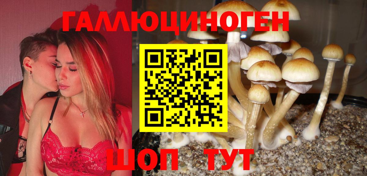 Галлюциногенные грибы ЛСД  Псилоцибиновые грибы MAGIC MUSHROOMS  Чернушка  Вход с VPN 
